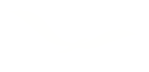 Birdasti Logo